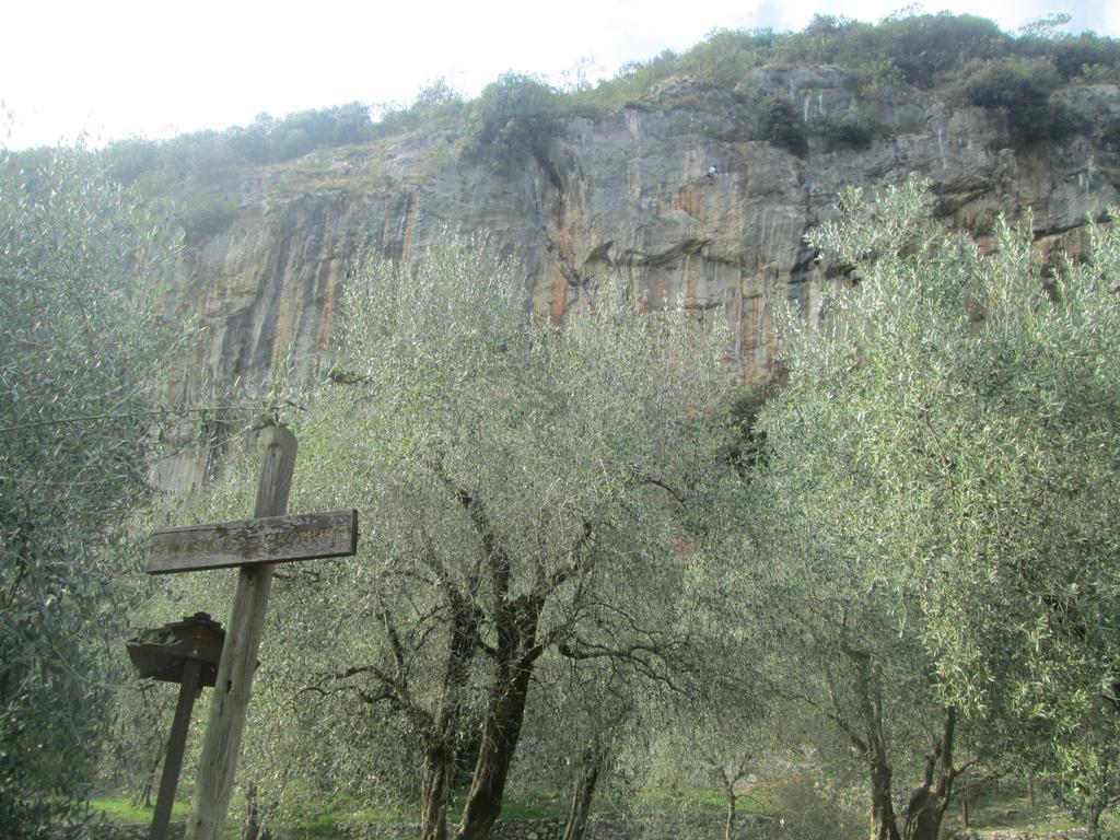 Massone Climbing Home Arco Dış mekan fotoğraf